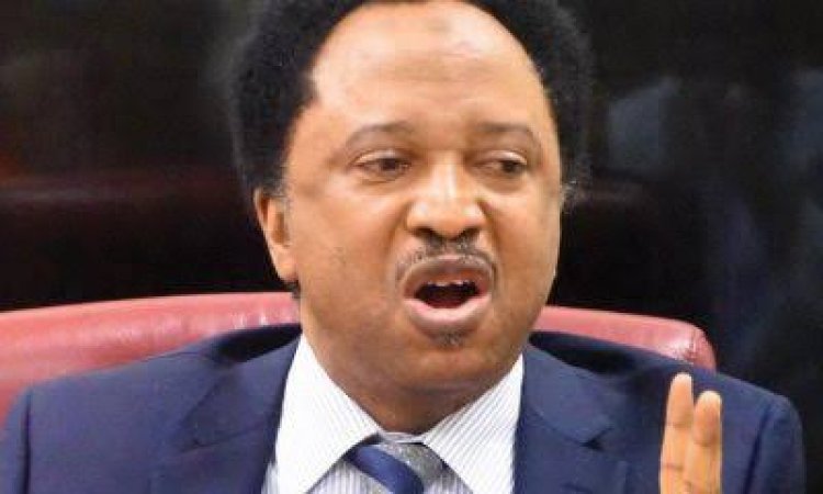 Reopening Of Schools: 'Federal Govt, State Govts Confused' – Shehu Sani