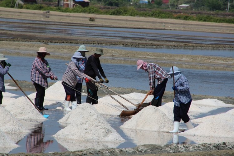Tension Brews In Ada-Songor Over attempt to revoke Salt Mining leases