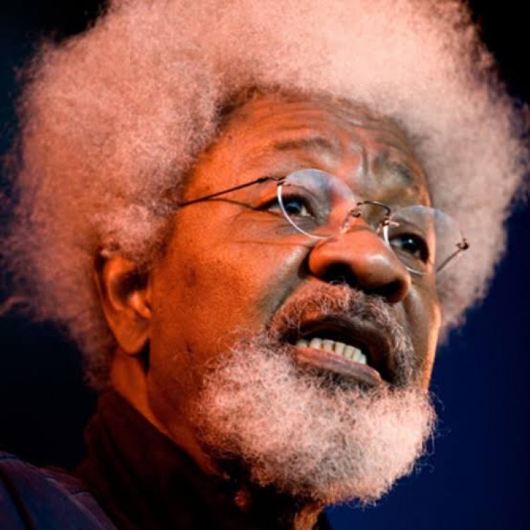 'I Have Forgiven Americans For Voting Racist Trump - Wole Soyinka