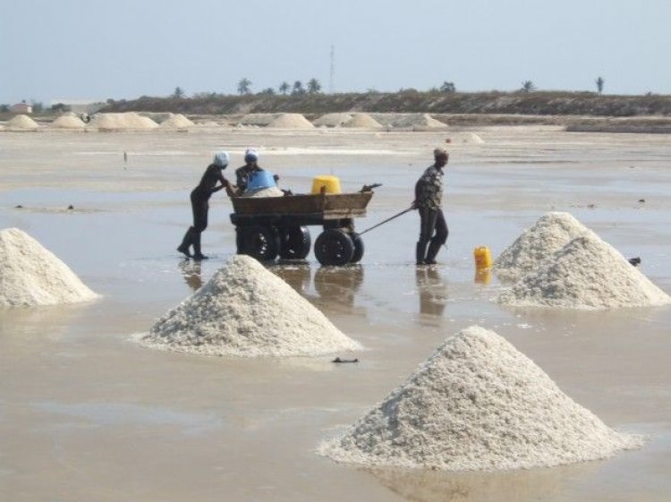 Salt Company compensate communities for loss of livelihood in the Volta Region