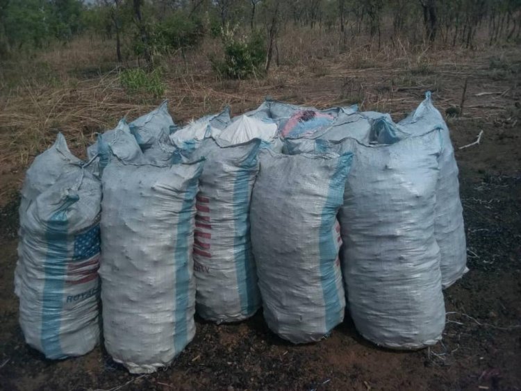 Stop Commercial Charcoal Burning in Savannah Region - NAGS