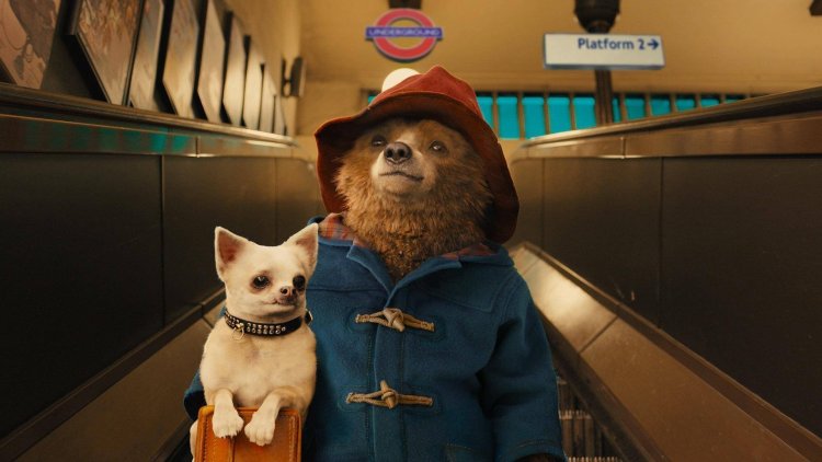 ‘Paddington 2’ Secures Top Spot For The Highest Rated Movie Of All Time On Rotten Tomatoes