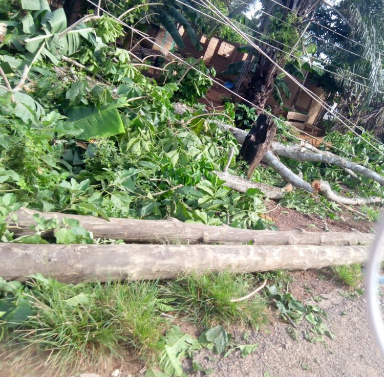 Lightning crash electric poles down at parts of Akuapem 
