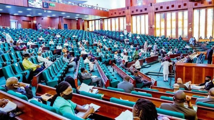 Twitter Ban: Rowdy Session As Rep Members Walk Out Of Plenary