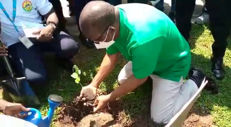 Parliament takes part in tree planting, speaker leads 