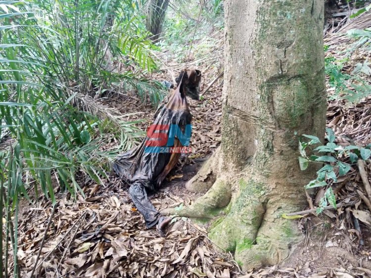 Woman found dead in a bush at Obuasi