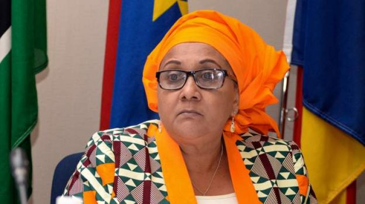 Tanzania Gets First Woman Defence Minister