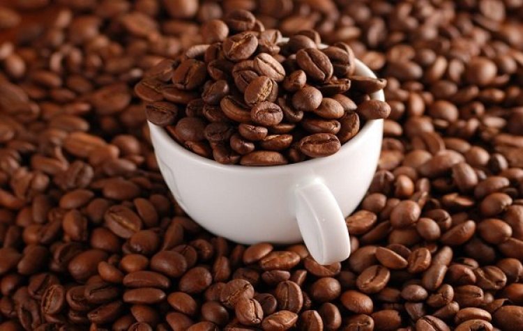 Government Must Support Revamp Coffee Sector - Coffee Federation of Ghana 
