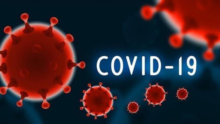 Covid-19: Women Mostly Affected