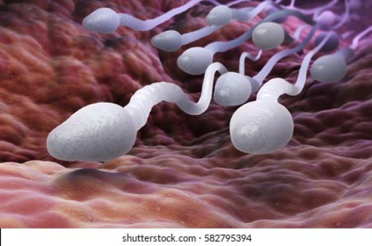 What Causes Watery Sperm