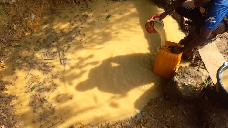 Asunafo North:Streams Serving Onwe Residents Its Environs Dries Up   