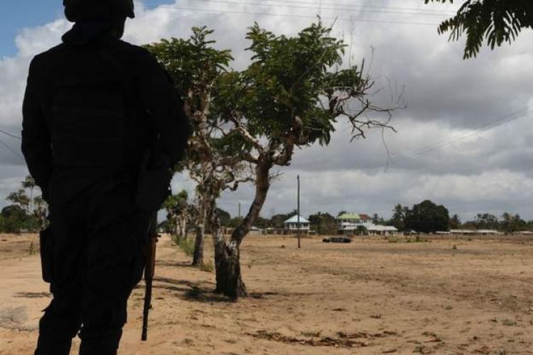 Thirty jihadist suspects killed in Mozambique - Samim