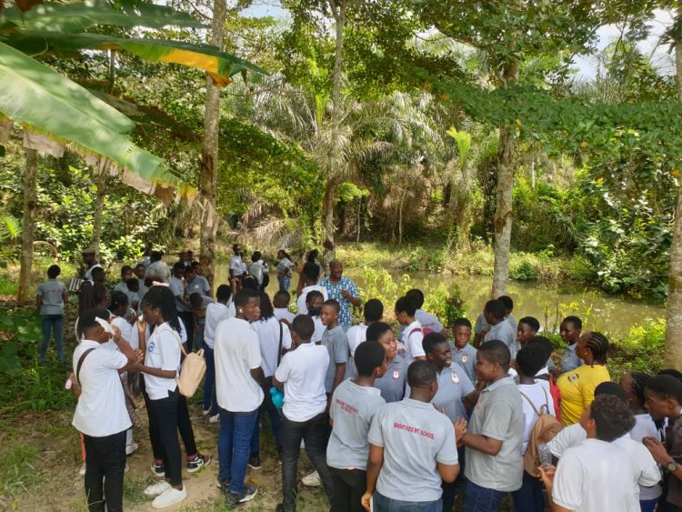 Hundreds Of Local Tourists And Students Schooled On  New Module of Farming Introduced By B-BOVID Farms