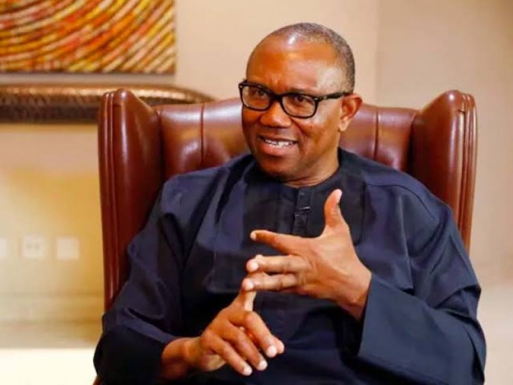 "Youths Won’t 'Japa' When I Become President" – Peter Obi