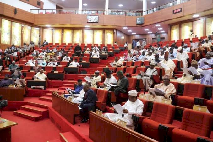 Social Media Bill Passes Second Reading In Nigerian Senate