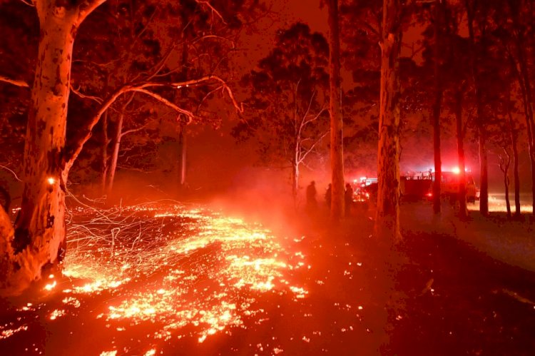 Thousands flee to beaches as raging wildfires turn Australia red and block out sun