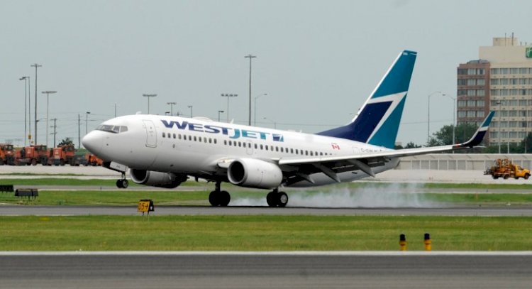 Plane in emergency landing after Instagram attention seeker shouted he had coronavirus