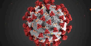 Coronavirus: Africa Recorded 17 Deaths In 24 Hours – WHO