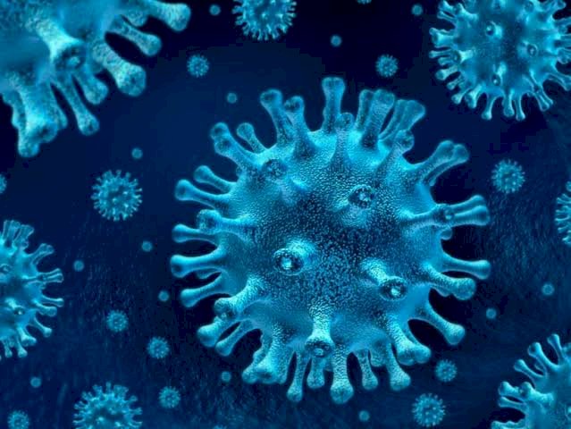 Coronavirus Spreads To Akwa-Ibom As Nigeria Confirmed Cases Rises To 174