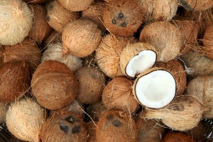 Lagos State Trains 450 Entrepreneurs In Coconut ‘Waste To Wealth’ Initiative