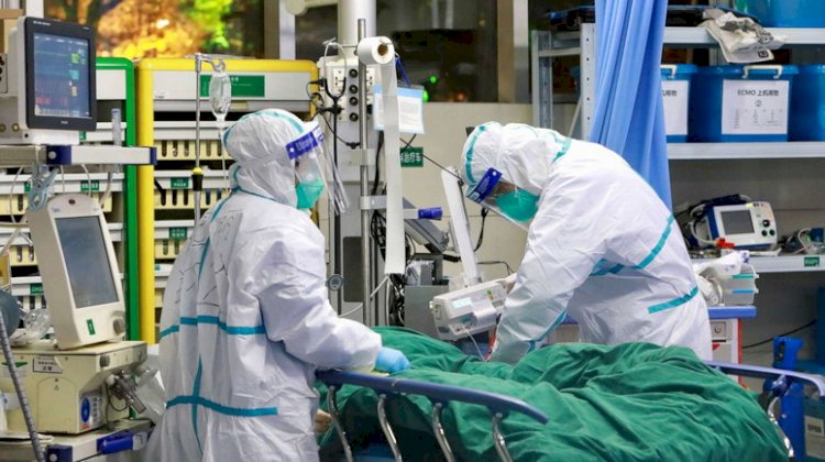 COVID-19: Nigeria Records 463 New Cases, Total Infections Hit 33,616