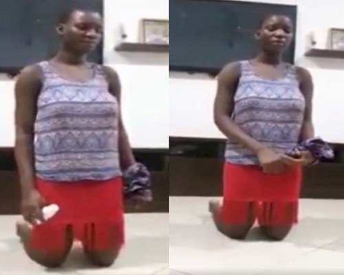 [VIDEO] Housemaid caught putting Insecticide in her Madam's water
